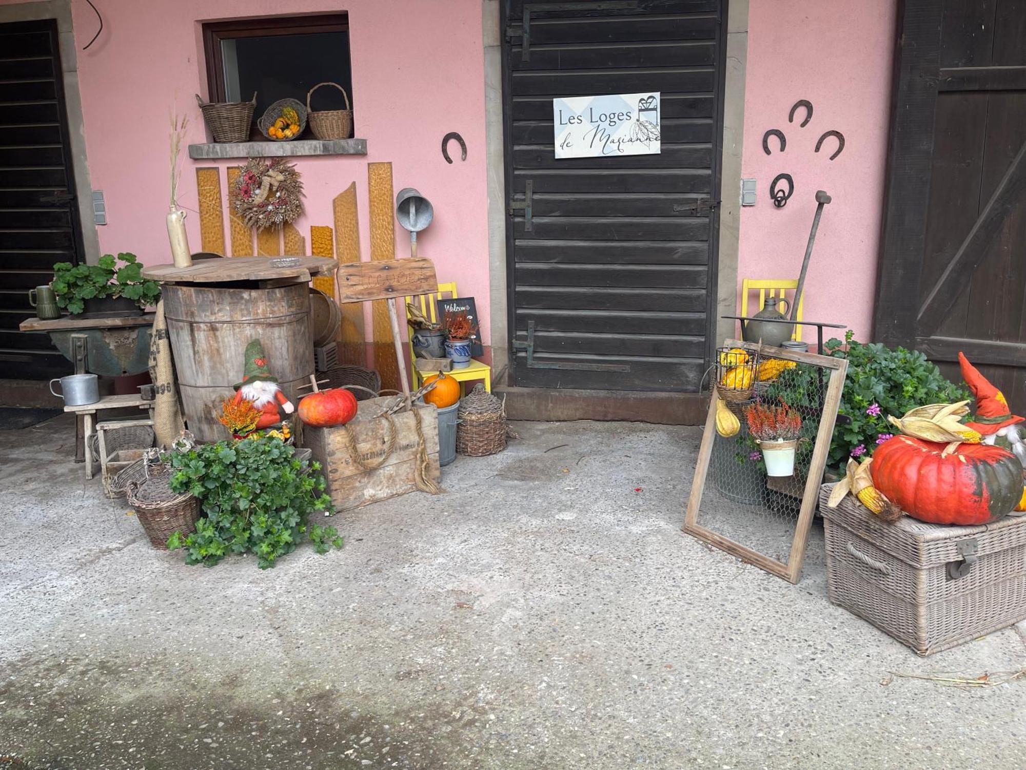 Les Loges De Marianne, Gites D'Exception Proche Europapark Schoenau Exterior photo
